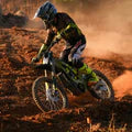 2025 Surron Light Bee X